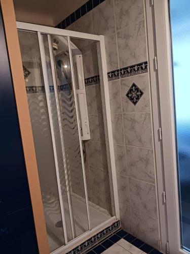 La salle de bains est pourvue d'une douche avec des portes en verre. dans l'établissement Appartement moderne à Perpignan avec vue sur la montagne, à Perpignan