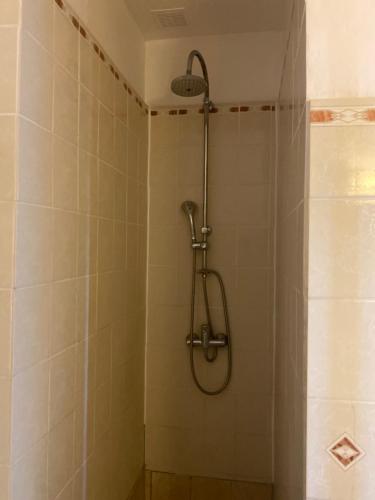 une douche avec pommeau de douche dans une salle de bain dans l'établissement La Galiote, à Agde