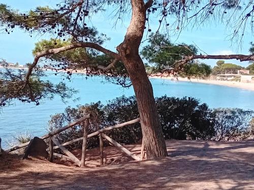 a tree and a fence next to a beach at Domu Marietta in Pula