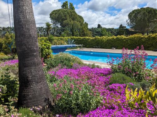 un jardin avec des fleurs violettes et une piscine dans l'établissement La Méridienne, à Mouans-Sartoux