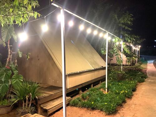 a row of lights in a garden at night at Amikaje Farm in Xuan An