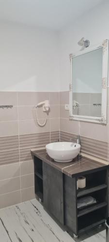 a bathroom with a sink and a mirror at Pensiunea Danubio in Dunavăţu de Jos