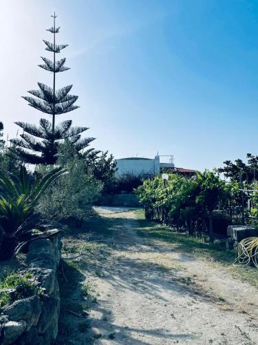 Un paisaje natural cerca del departamento