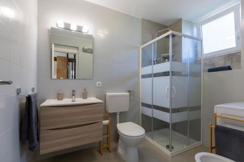 a bathroom with a shower and a toilet and a sink at Holiday House Istria with Private pool and Sea View in Ravni