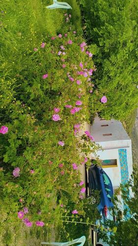 Gîte Dayet Chikerにある庭