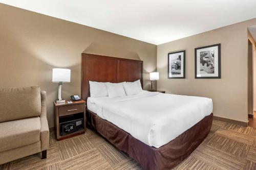 a hotel room with a large bed and a couch at Comfort Inn & Suites Sea-Tac Airport in SeaTac