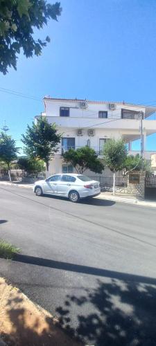 Vila Vladmir Sela