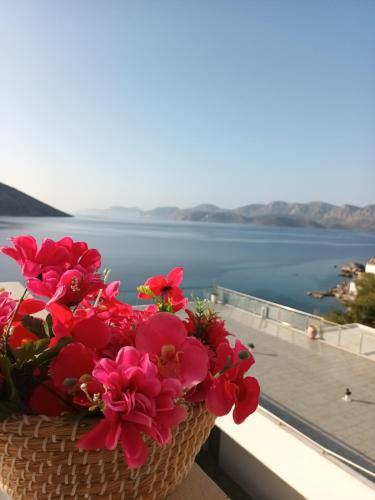 Φυσικό τοπίο κοντά σε αυτό το διαμέρισμα