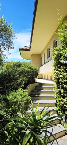 a set of stairs leading to a building at Villa Olivemare B&B in Pietrasanta