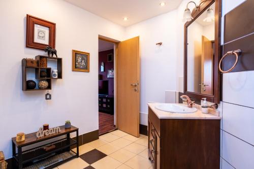 a bathroom with a sink and a mirror at Casa Veveritelor in Bran