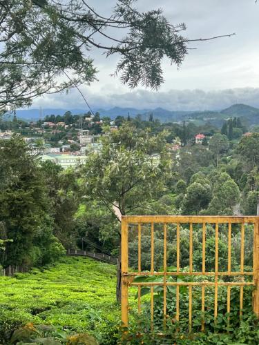 a wooden bench sitting on top of a green hill at Sunset Villa in Coonoor