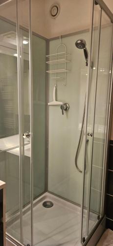une douche avec une porte vitrée dans une salle de bain dans l'établissement APPT T2 saisonnier en montagne, à Jausiers