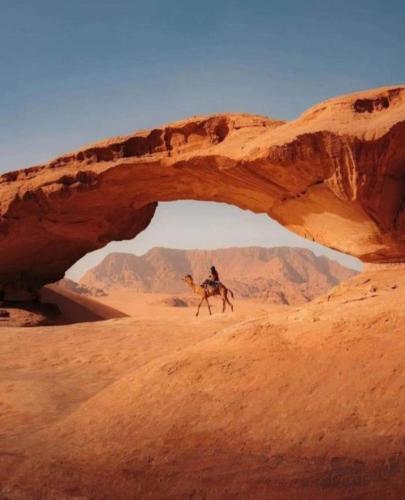 a person riding a camel in the desert at Wadi Rum Faris in Wadi Rum