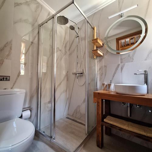 a bathroom with a shower and a toilet and a sink at To Pefko - Mezzanines - in Meyisti