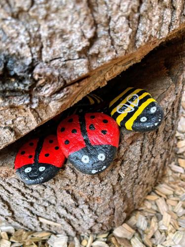 two ladybugs are sticking out of a hole at Appartements Kolberhof in Alpbach