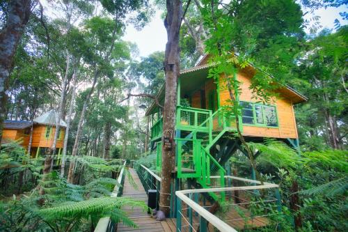 a tree house in the middle of the forest at Măng Đen Treehouse Village Resort & Zipline in Kon Von Kla