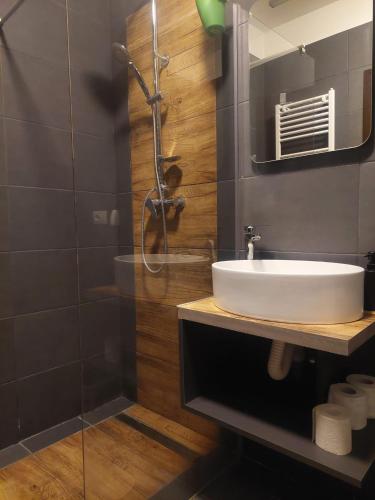 a bathroom with a sink and a shower at Best City View in Craiova