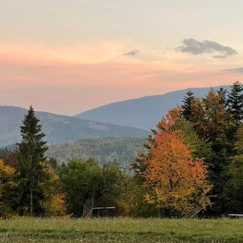 a field with trees and mountains in the background at Zacisze na Wzgórzu in Zawoja
