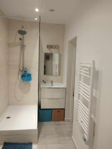 - une petite salle de bains blanche avec lavabo et miroir dans l'établissement Appartement GUISE Familistere, à Guise