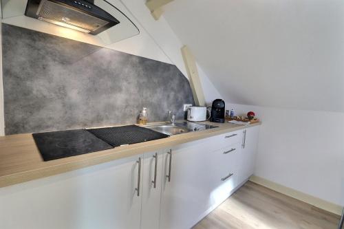 une cuisine avec un évier et un plan de travail dans l'établissement Le Printemps - Cozy et Calme - Mon Groom, à Troyes