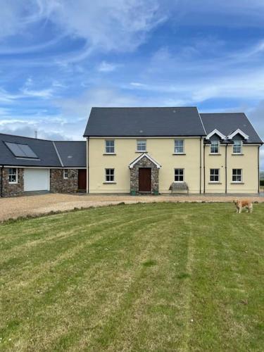 スウォンジーにあるPylewell Farm Rhossili, comfortable pet friendly couples getawayの庭に犬がいる大きな黄色い家