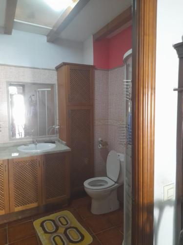 a bathroom with a toilet and a sink at Habitacion en Casa Huelves in Huelves