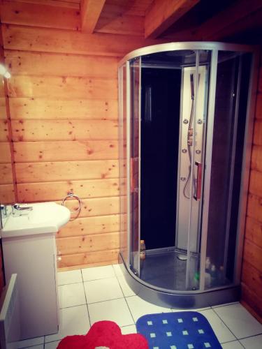 La salle de bains est pourvue d'une douche et d'un mur en bois. dans l'établissement CHALET 5p tout confort bias mimizan dans village vacances, à Bias