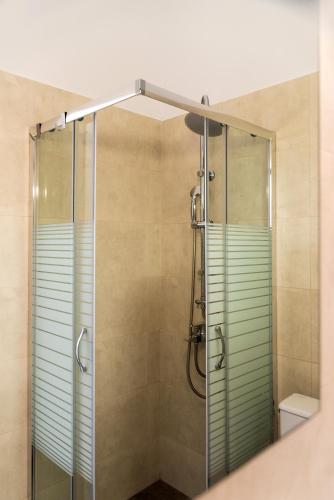 a shower with a glass door in a bathroom at Celestial Studios in Kavos