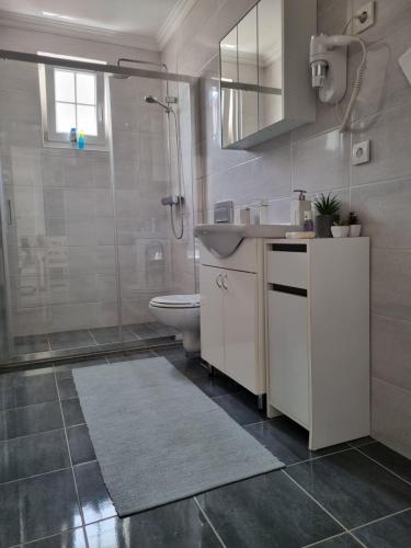 Kuchyň nebo kuchyňský kout v ubytování Apartmani Arilje