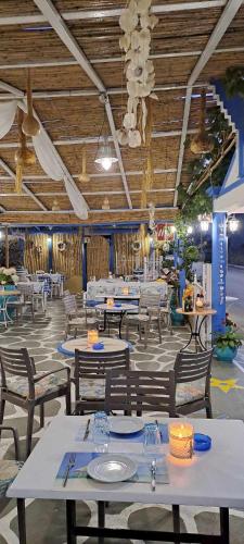 Gallery image of Malia Star Apartments in Malia