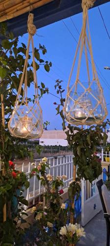 Gallery image of Malia Star Apartments in Malia