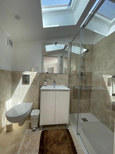 une salle de bain avec toilettes, lavabo et douche dans l'établissement T2 piscine proche plage, à Carqueiranne