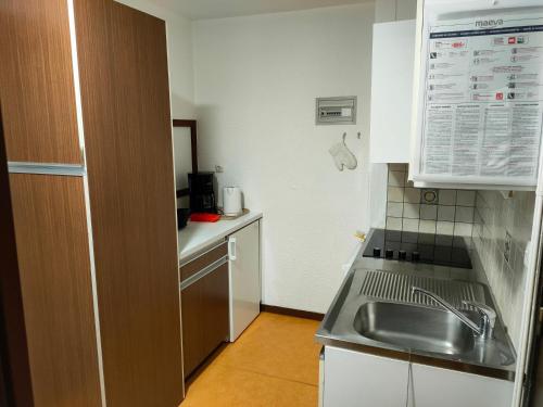 une petite cuisine avec un évier et un comptoir dans l'établissement Le Haut Fleury - P15, à Taninges