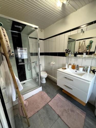 une salle de bain avec une douche, un lavabo et des toilettes dans l'établissement Duplex moderne centre du Boulou, au Boulou
