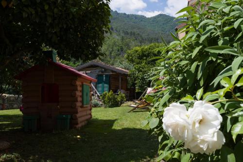 a house and a white flower in a yard at Agriturismo del Ponte Monolocale "Anna" in Rialto