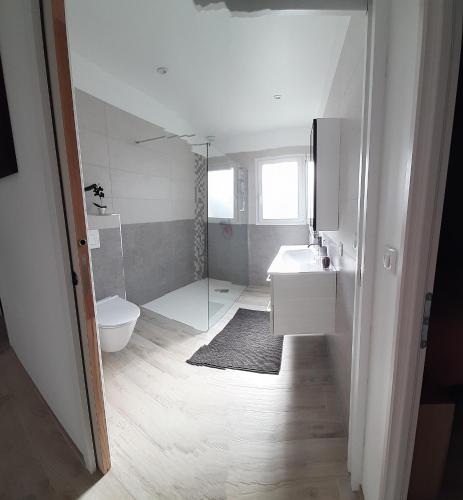 une salle de bain avec toilettes, lavabo et douche dans l'établissement Gite des sablons, à La Heunière