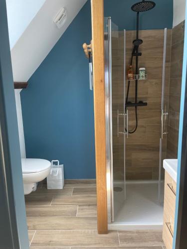 une salle de bain avec une douche avec des toilettes et un lavabo dans l'établissement Chambre bleue des Perriots, à Englesqueville-la-Percée