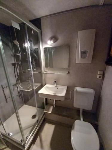 a bathroom with a shower and a toilet and a sink at Ferienhaus Toso in Freyung