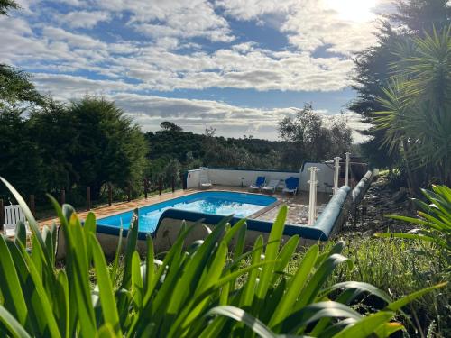 a swimming pool in a yard with plants at Moinhos do Paneiro in Santiago do Cacém