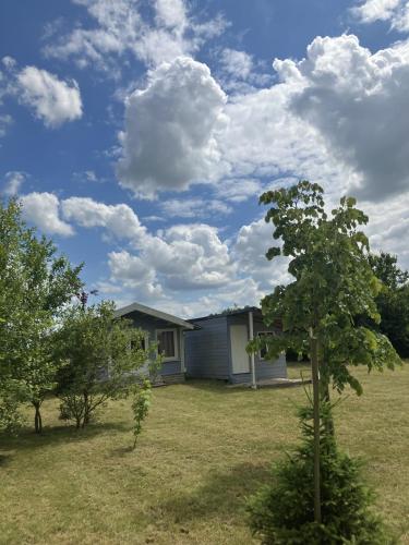 une maison dans une cour avec un arbre et des nuages dans l'établissement Les Chalets de Babeth et Cathy, à Trouan-le-Grand