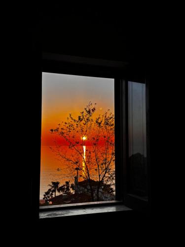 Fotografie z fotogalerie ubytování Boutique San Daniele v destinaci Cirella