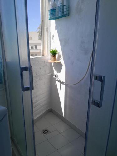a bathroom with a shower with a plant on a window at Stefanos' Art House in Halikounas