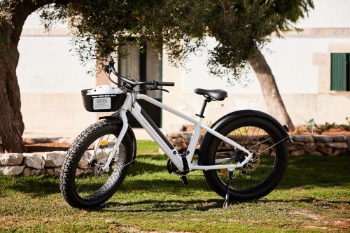 a bike parked on the grass next to a tree at Masseria Gorgognolo in Ostuni