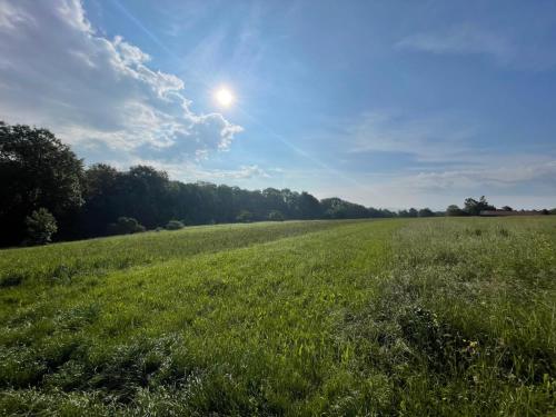 a field of green grass with the sun in the sky at TinyHaus #4 Hülben - Ortsrand - kostenlose Parkplätze in Hülben