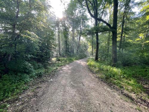 a dirt road in the middle of a forest at TinyHaus #4 Hülben - Ortsrand - kostenlose Parkplätze in Hülben