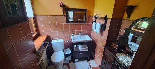 ザクロチムにあるKasztelania Pod Lipamiの小さなバスルーム(トイレ、シンク付)