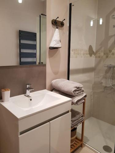 une salle de bain avec un lavabo et une douche dans l'établissement la Brise Malouine au bord de mer avec jardin, à Dunkerque