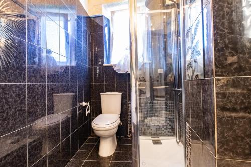 a bathroom with a toilet and a shower at Mare In Vista in Capoliveri