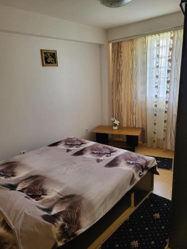 a bedroom with a bed and a table and a window at Black Sea in Constanţa