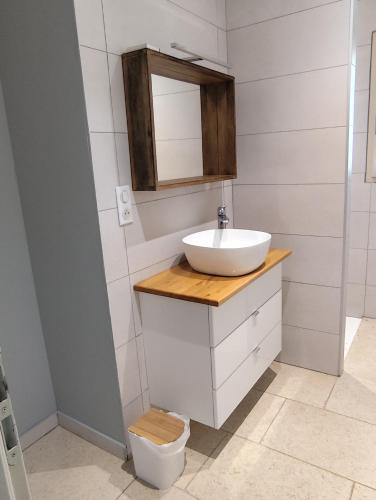 une salle de bain avec un lavabo et des toilettes dans l'établissement Appartement La pierre de bresse, à Pierre